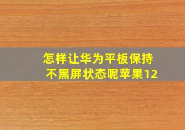 怎样让华为平板保持不黑屏状态呢苹果12