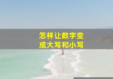 怎样让数字变成大写和小写