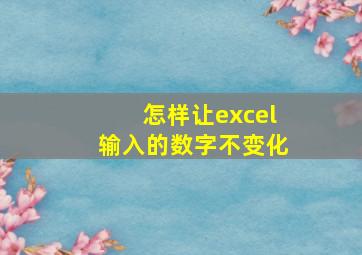 怎样让excel输入的数字不变化