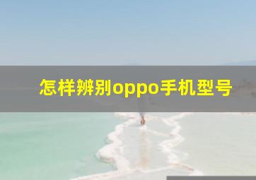 怎样辨别oppo手机型号