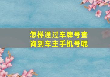 怎样通过车牌号查询到车主手机号呢