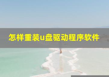 怎样重装u盘驱动程序软件