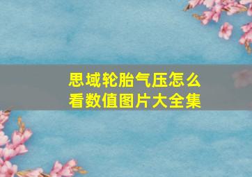 思域轮胎气压怎么看数值图片大全集