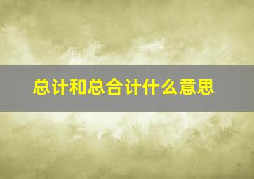 总计和总合计什么意思