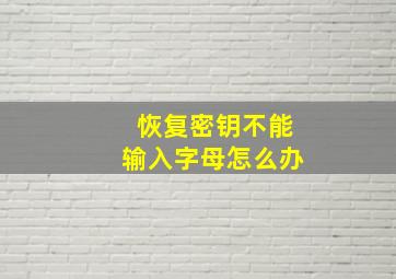 恢复密钥不能输入字母怎么办