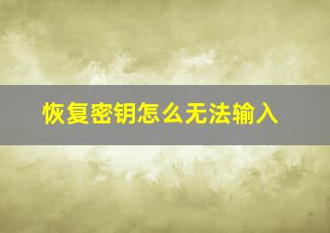 恢复密钥怎么无法输入