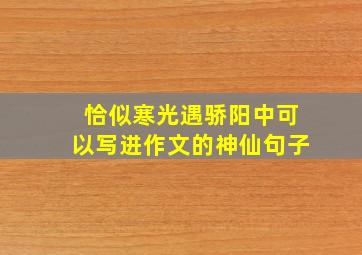 恰似寒光遇骄阳中可以写进作文的神仙句子