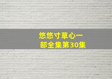 悠悠寸草心一部全集第30集