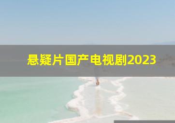 悬疑片国产电视剧2023