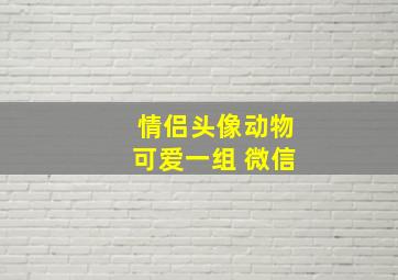 情侣头像动物可爱一组 微信