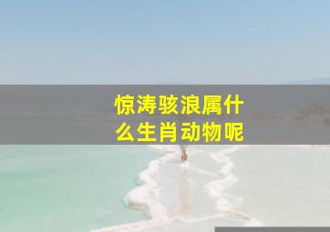 惊涛骇浪属什么生肖动物呢