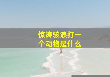 惊涛骇浪打一个动物是什么