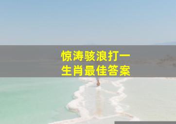 惊涛骇浪打一生肖最佳答案