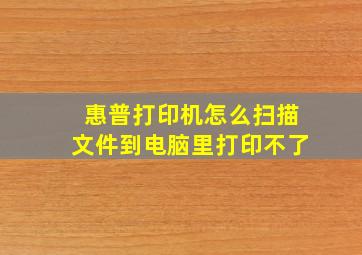 惠普打印机怎么扫描文件到电脑里打印不了