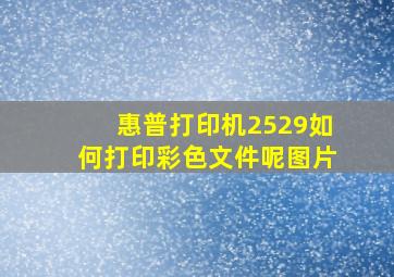 惠普打印机2529如何打印彩色文件呢图片