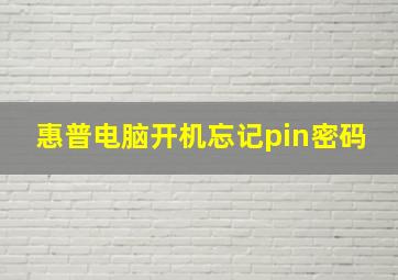 惠普电脑开机忘记pin密码