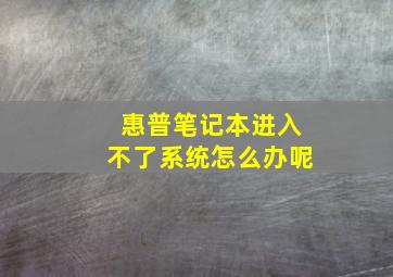 惠普笔记本进入不了系统怎么办呢