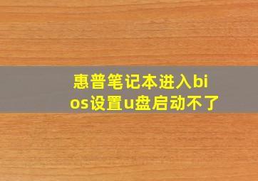 惠普笔记本进入bios设置u盘启动不了