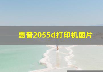 惠普2055d打印机图片