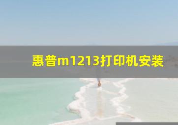 惠普m1213打印机安装