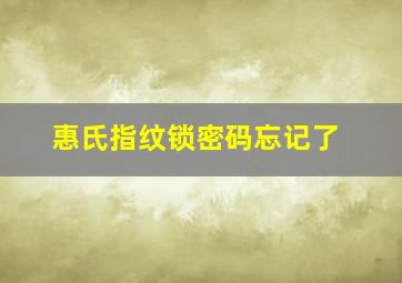 惠氏指纹锁密码忘记了