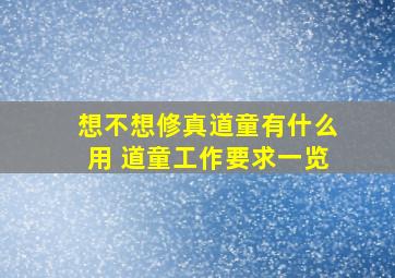 想不想修真道童有什么用 道童工作要求一览