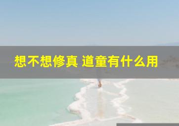 想不想修真 道童有什么用