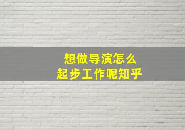 想做导演怎么起步工作呢知乎