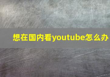 想在国内看youtube怎么办