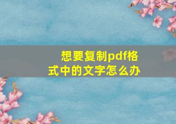 想要复制pdf格式中的文字怎么办