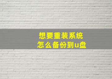 想要重装系统怎么备份到u盘