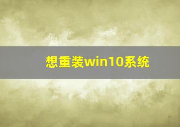 想重装win10系统