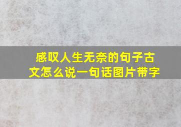 感叹人生无奈的句子古文怎么说一句话图片带字