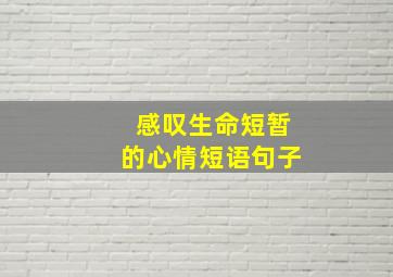 感叹生命短暂的心情短语句子