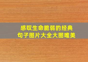 感叹生命脆弱的经典句子图片大全大图唯美