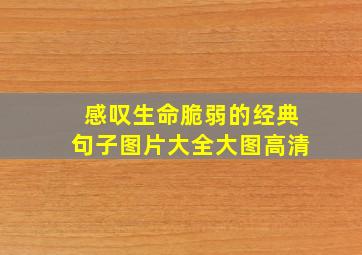 感叹生命脆弱的经典句子图片大全大图高清