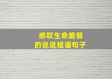 感叹生命脆弱的说说短语句子