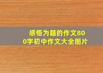 感悟为题的作文800字初中作文大全图片