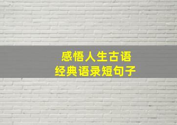 感悟人生古语经典语录短句子