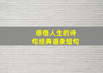 感悟人生的诗句经典语录短句