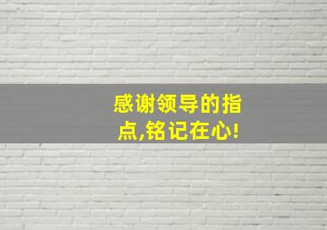 感谢领导的指点,铭记在心!