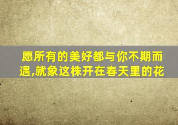 愿所有的美好都与你不期而遇,就象这株开在春天里的花