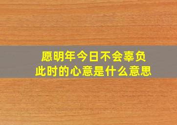 愿明年今日不会辜负此时的心意是什么意思