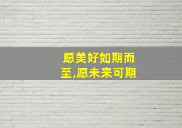 愿美好如期而至,愿未来可期