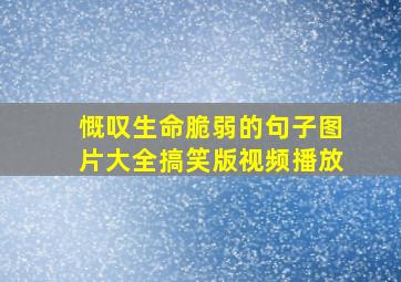 慨叹生命脆弱的句子图片大全搞笑版视频播放