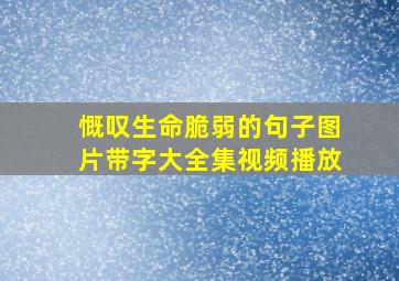 慨叹生命脆弱的句子图片带字大全集视频播放