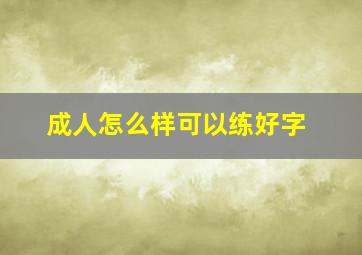 成人怎么样可以练好字