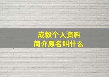 成毅个人资料简介原名叫什么