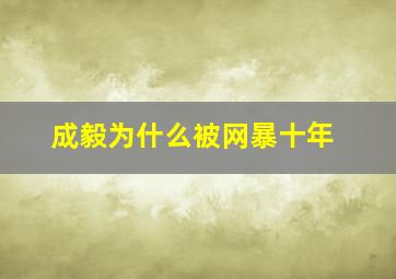 成毅为什么被网暴十年