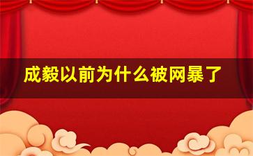 成毅以前为什么被网暴了